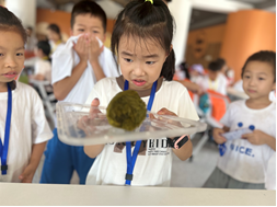 中国·拉斯维加斯5001(股份有限公司)-Official website